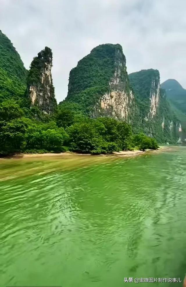 重生之玫瑰豪门